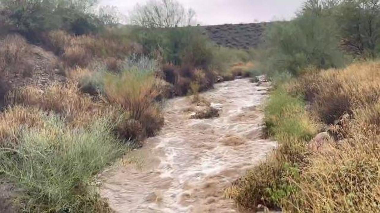 Arizona'da sel 4 can aldı! 