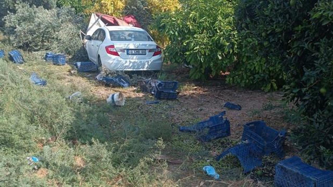 Bah&ccedil;ede akılalmaz olay! Zeytin toplayan iş&ccedil;i feci şekilde can verdi