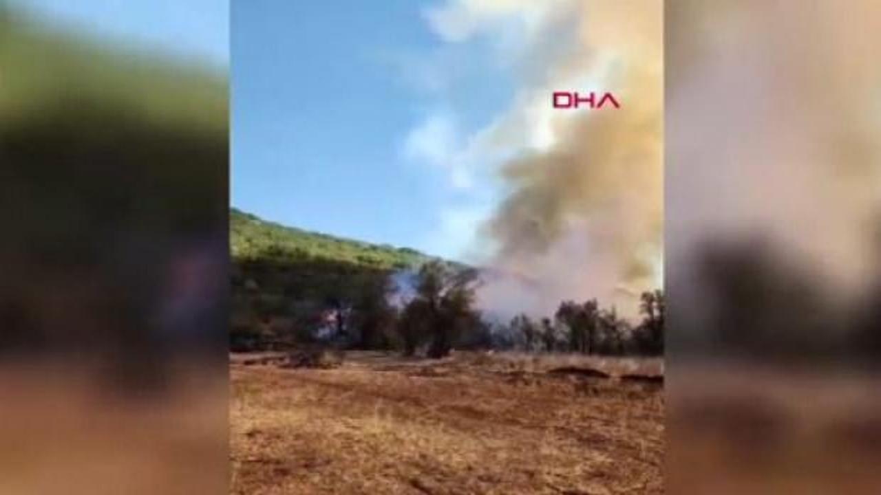 Burdur'da orman yangını