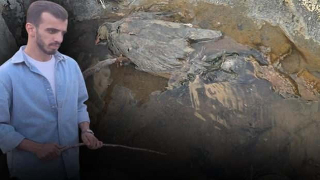 Hakkari'de gizemli vadi! İnsanlara şifa, hayvanlara &ouml;l&uuml;m getirdiği iddia edildi