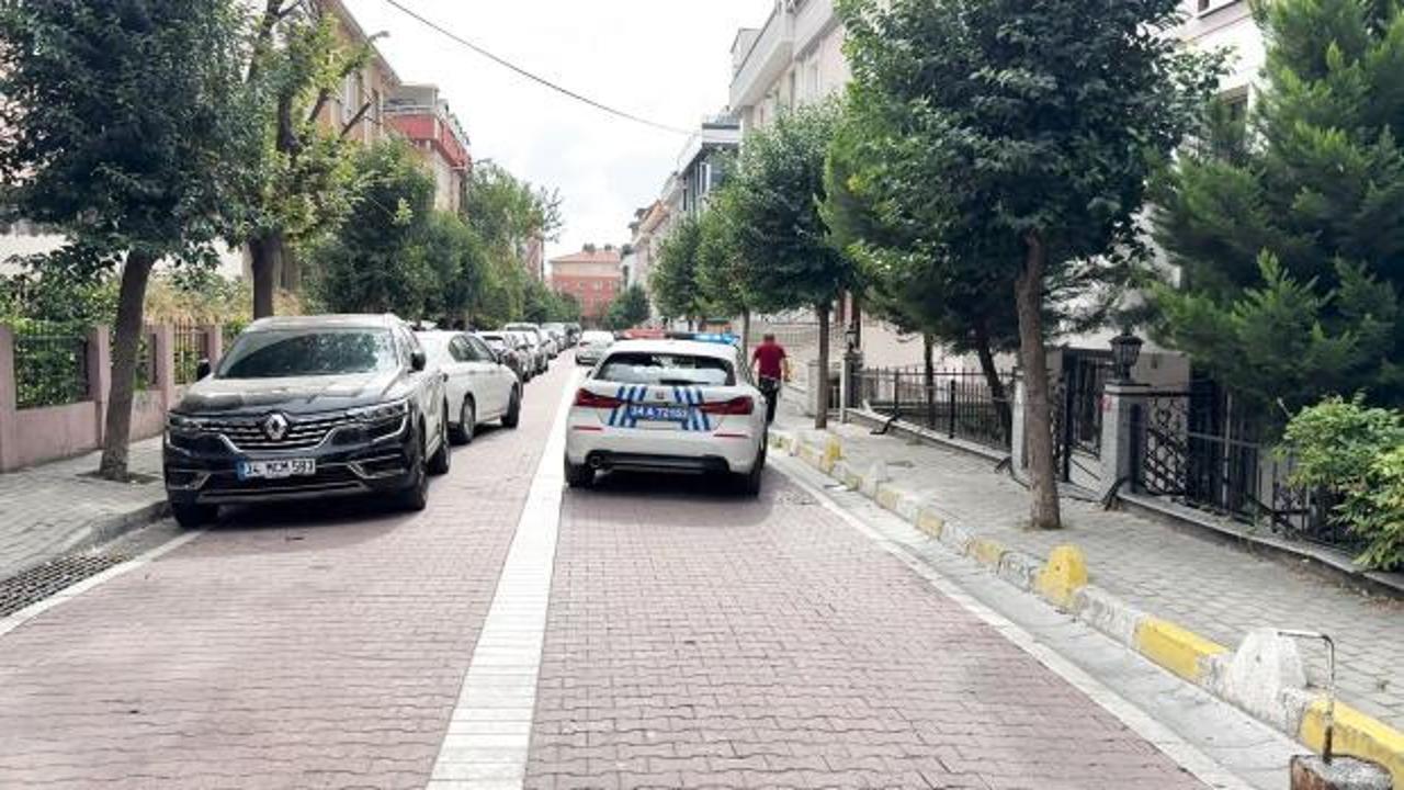 İstanbul'da kan donduran cinayet: Abisini canice öldürdü
