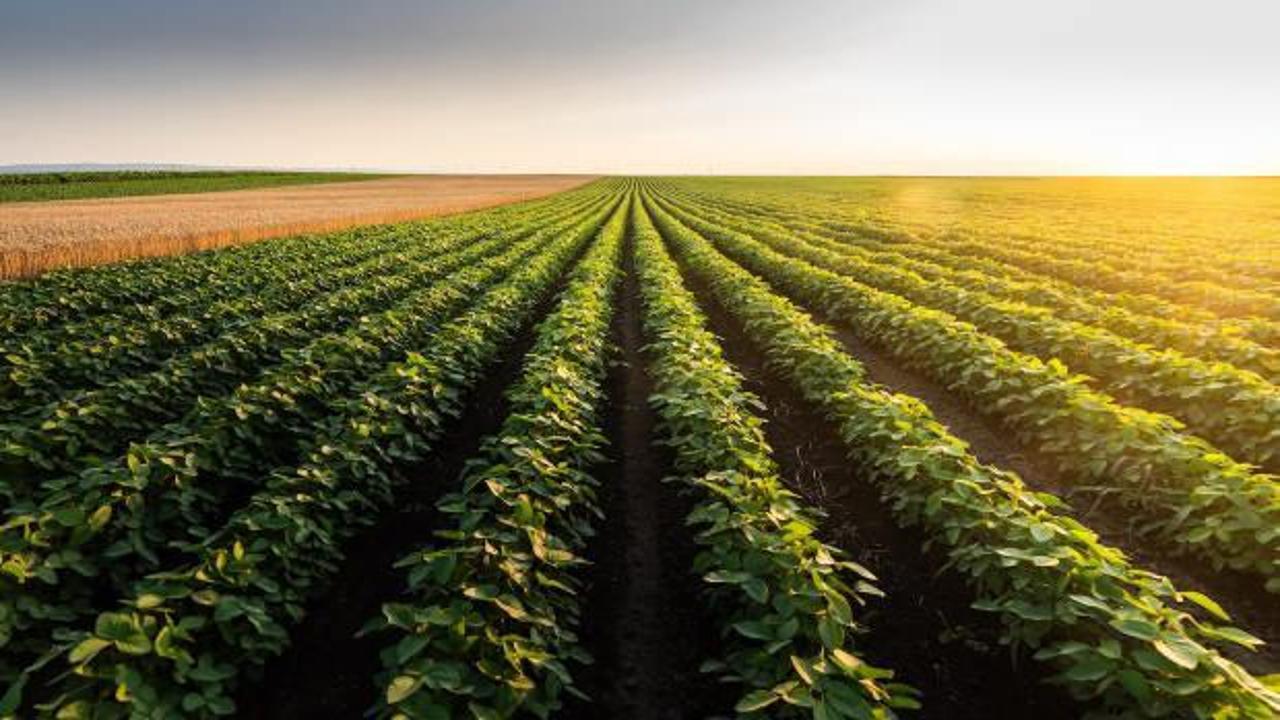 Letven Capital, agro ekonomide T&uuml;rkiye&rsquo;yi k&uuml;resel yatırımın merkezine taşıyor