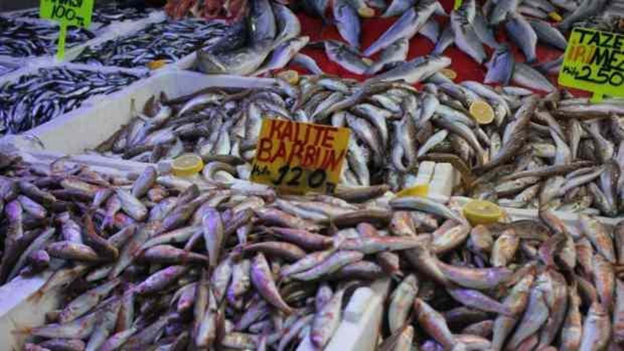 Samsun'da hamsi bolluğu fiyatları düşürdü!