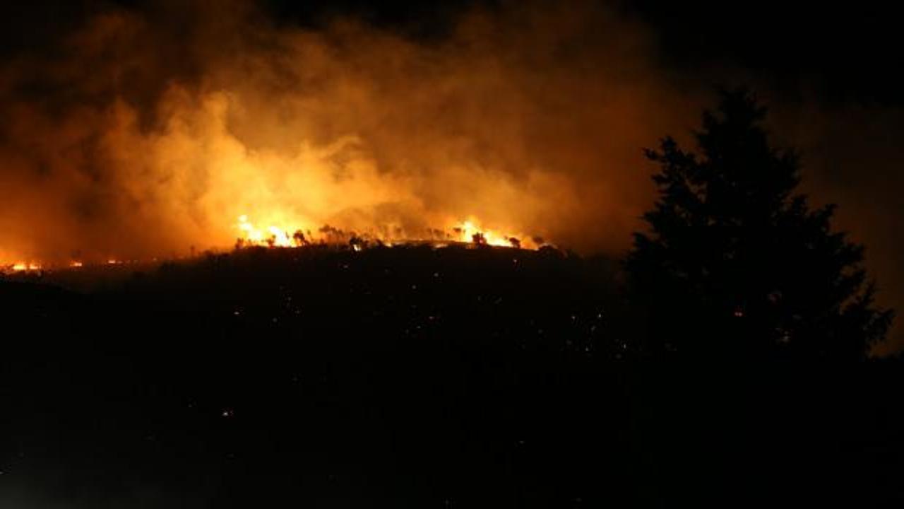 Son dakika: Bursa'daki orman yangını kontrol altına alındı