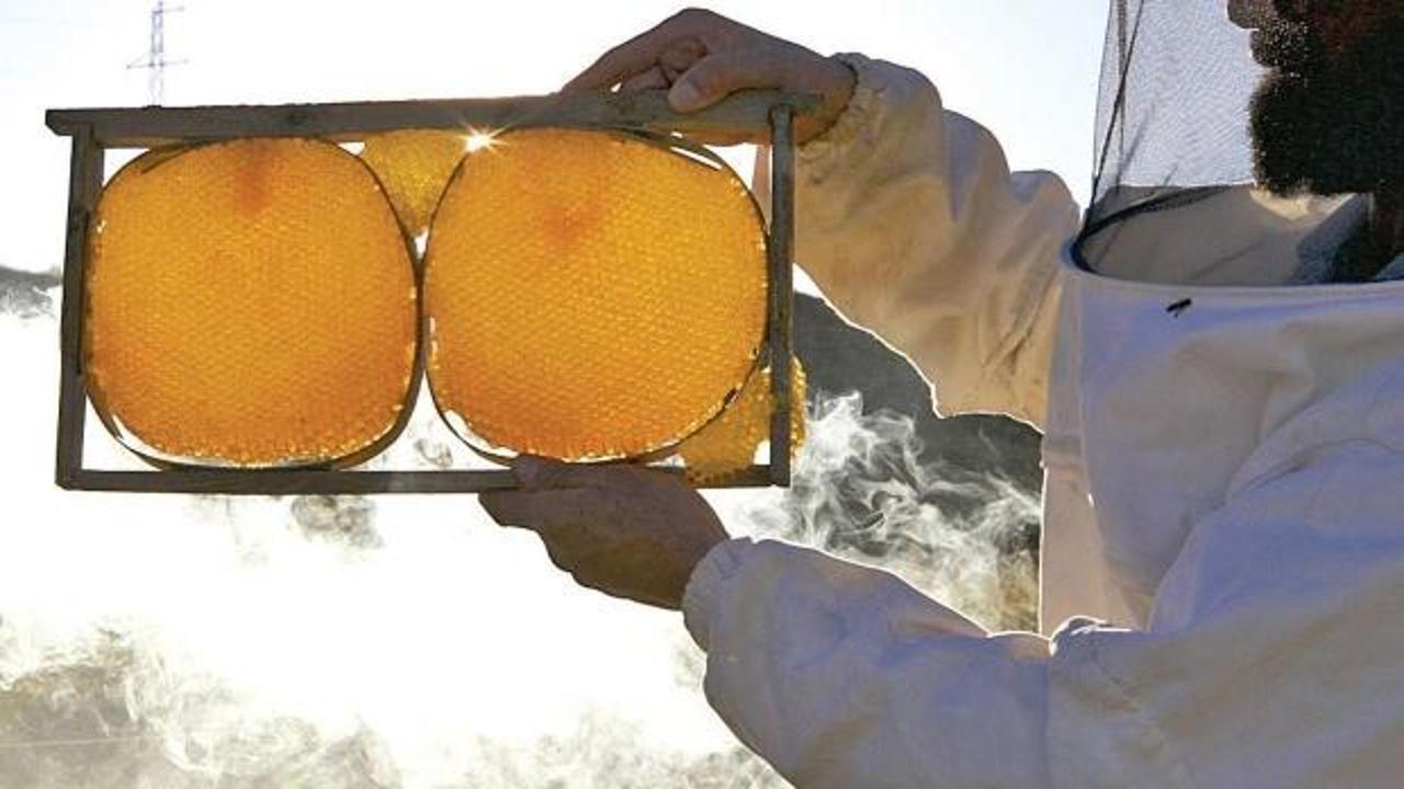 AB’den tescilli Bingöl Balı, ABD ve Ortadoğu’ya açılma hedefinde