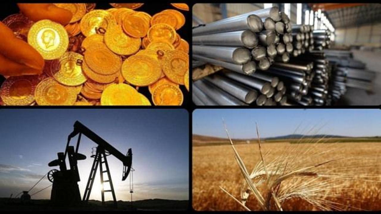 Emtia piyasaları ABD'de federal hükümetin kapandığı haftada karışık seyretti