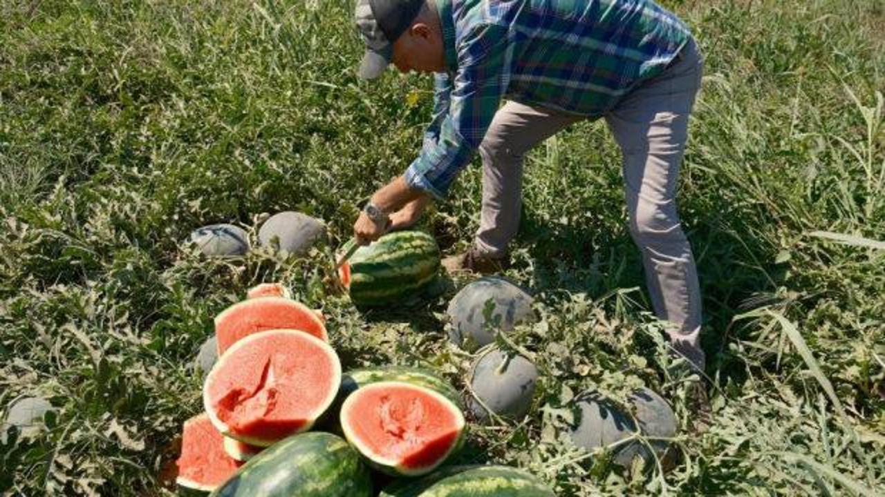 Fiyatı dudak uçuklatıyor: Iphone 17 almak için bu üründen 30 tır satmak gerekiyor