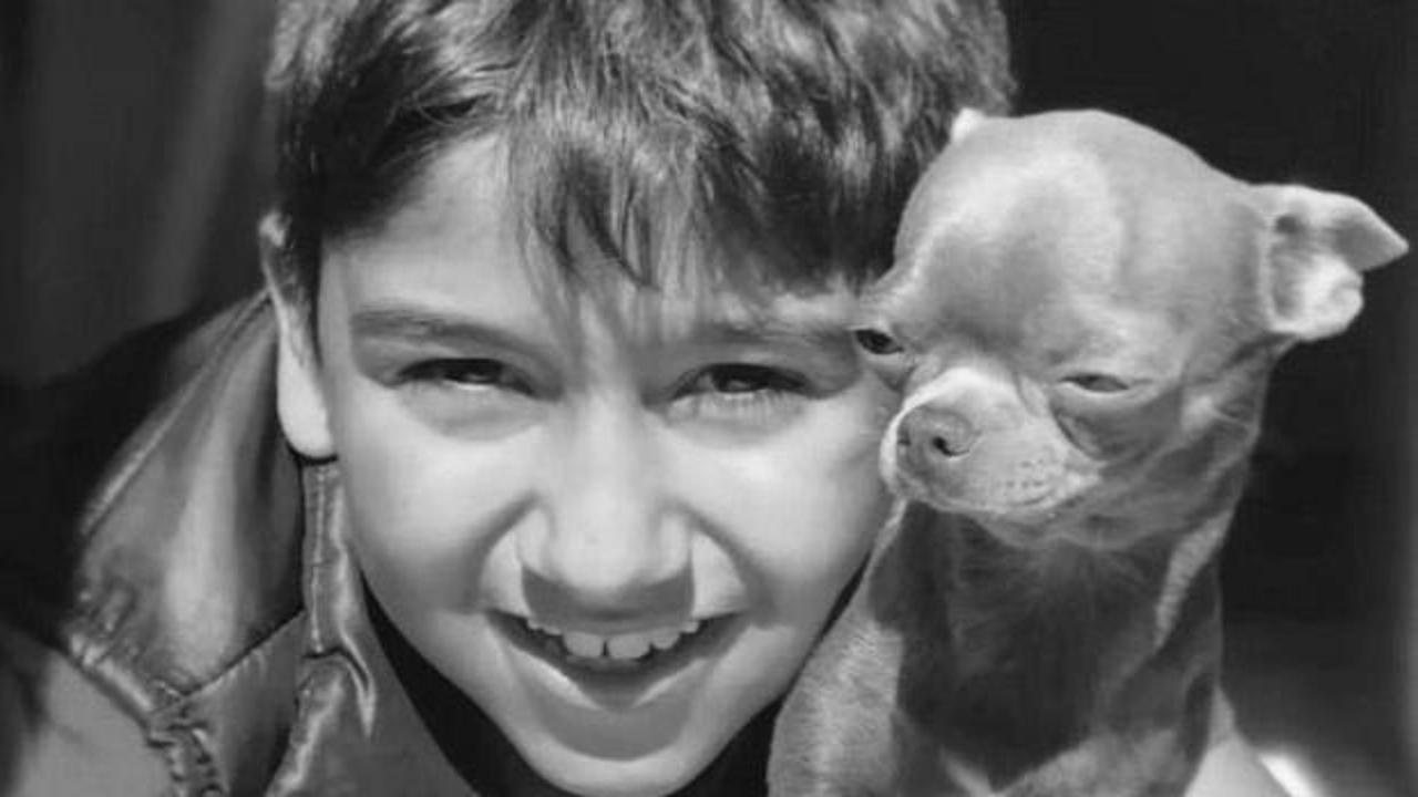 CHP'li Başkan Yardımcısı araçla çarpmıştı: 12 yaşındaki Sıraç kurtarılamadı 