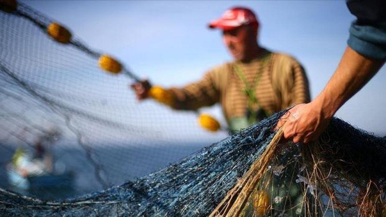 Balıkçıların yüzü istavritle gülüyor! Ordu'da son durum