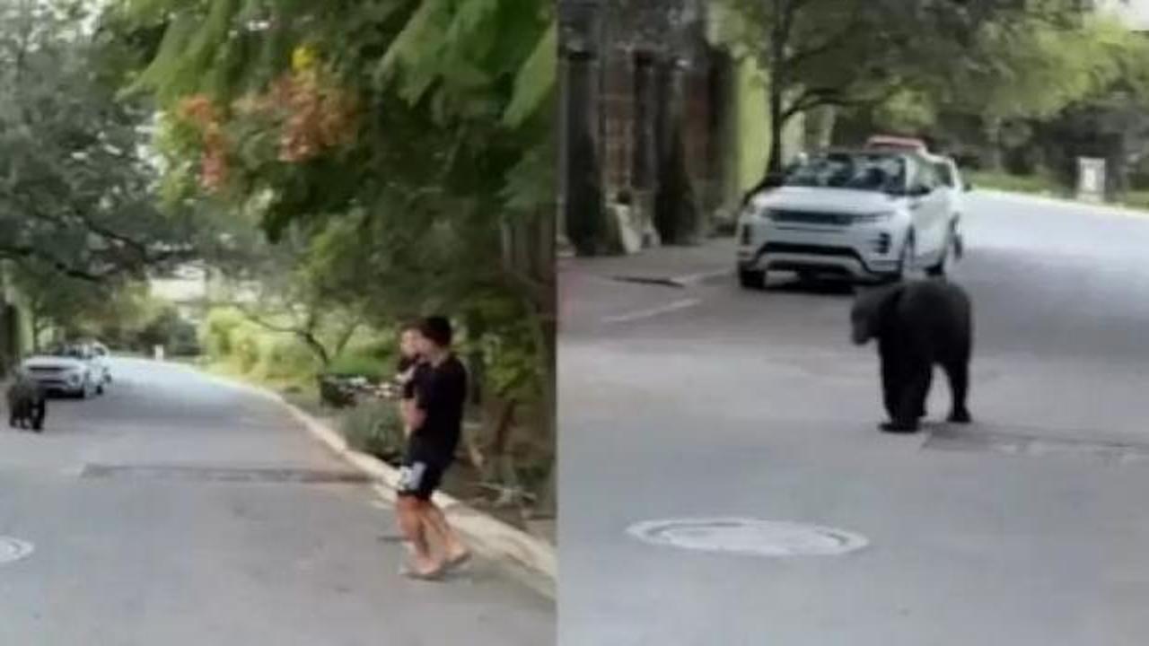Dünya Kupalı yıldızı evinin önünde ayı kovaladı