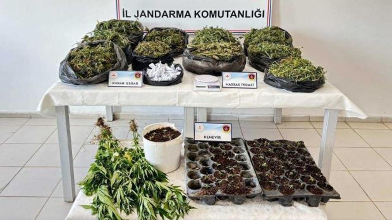 Malatya'da uyuşturucu operasyonu; 5 tutuklama