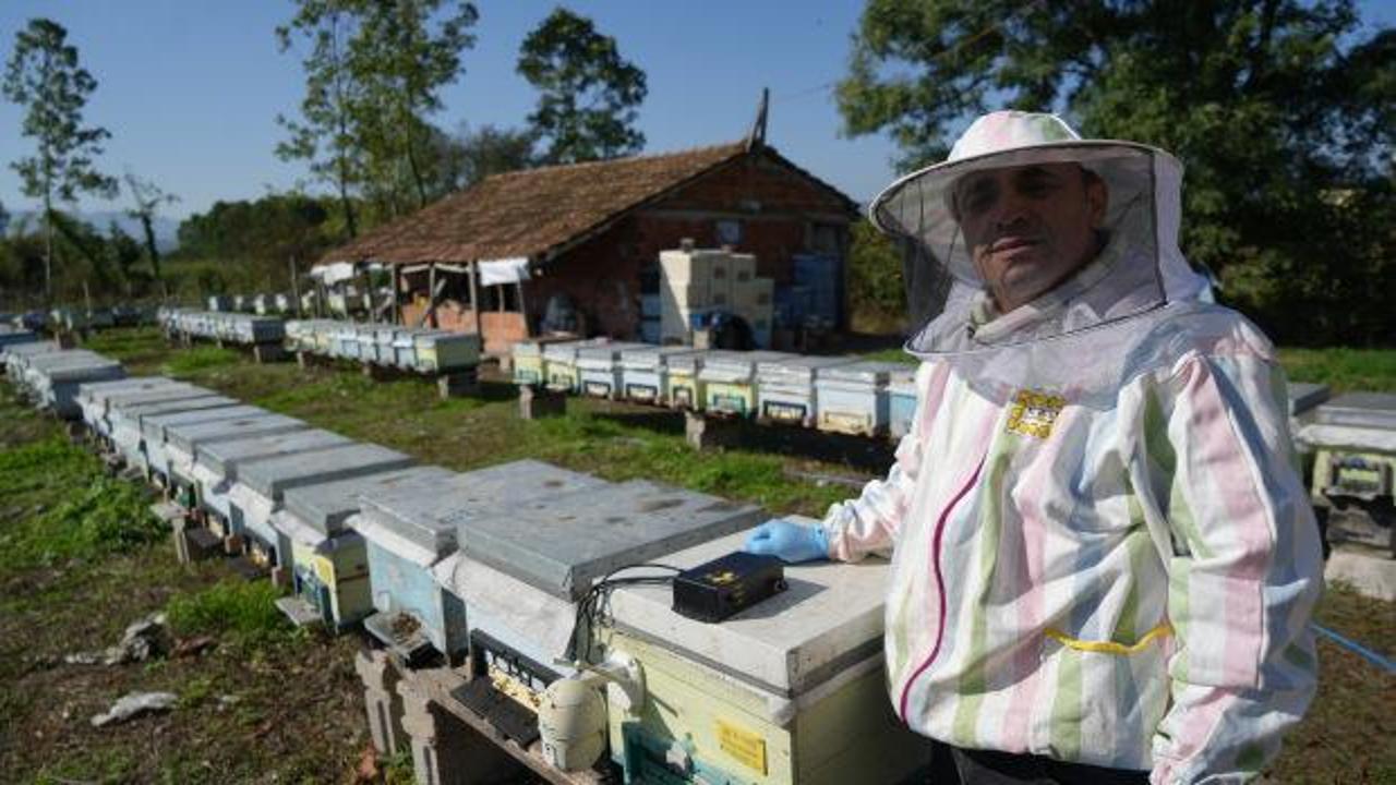 Samsun&rsquo;da ilgin&ccedil; icat: Bal verimsizliğine son!