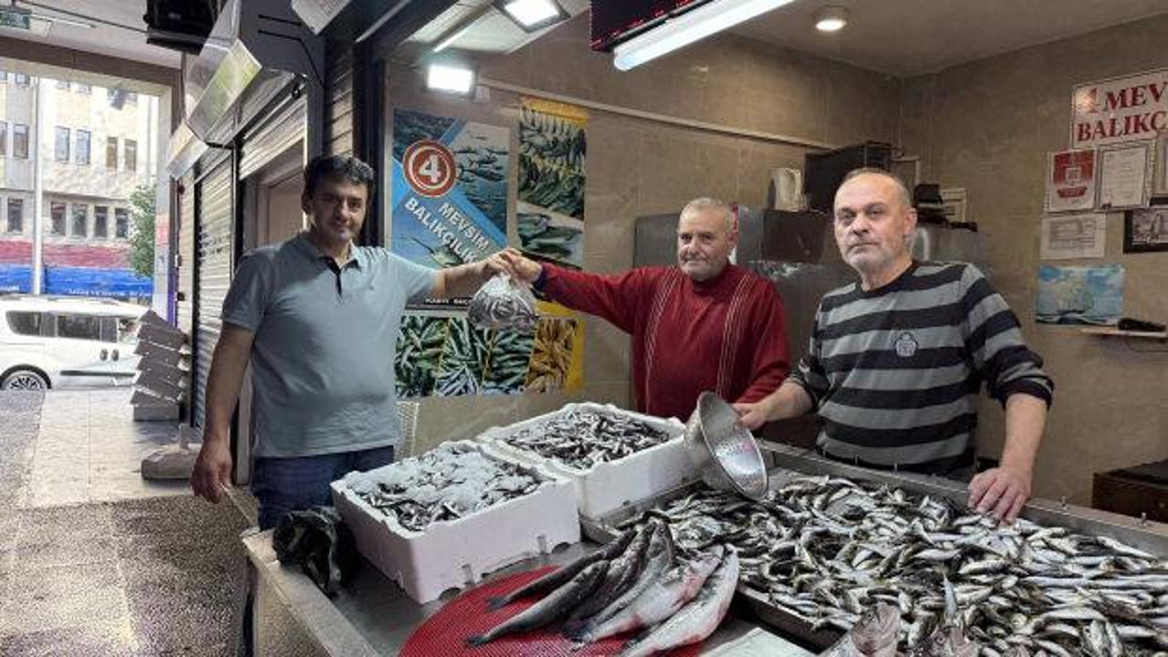 Trabzon'da balıkçı tezgahlarında istavrit ilgi görüyor!