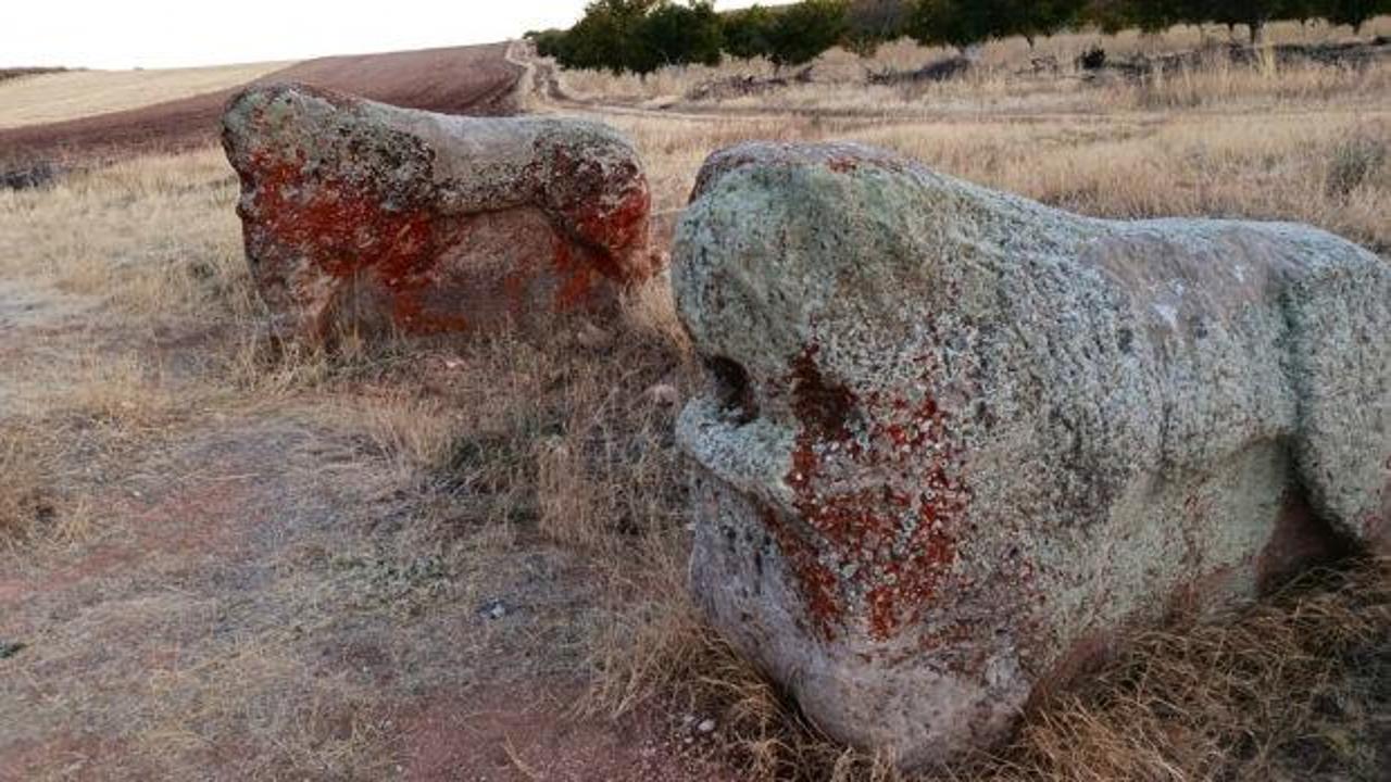 Malatya'daki 4 bin yıllık 2 Aslantaş taşınacak