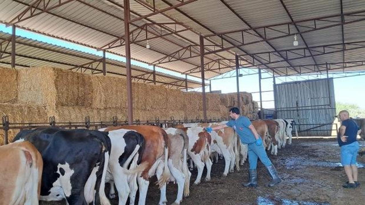 Bir ilde 12 mahalle karantinaya alındı!