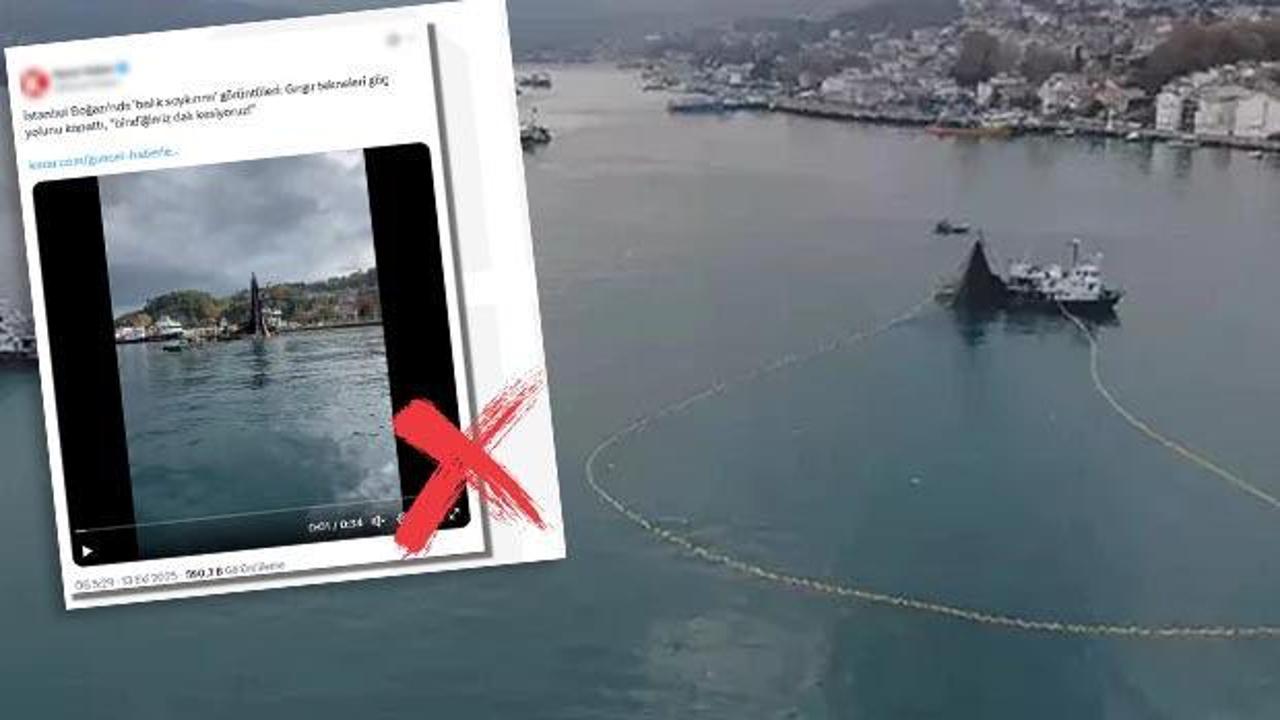 DMM’den İstanbul Boğazı’nda balık soykırımı iddiaları için açıklama
