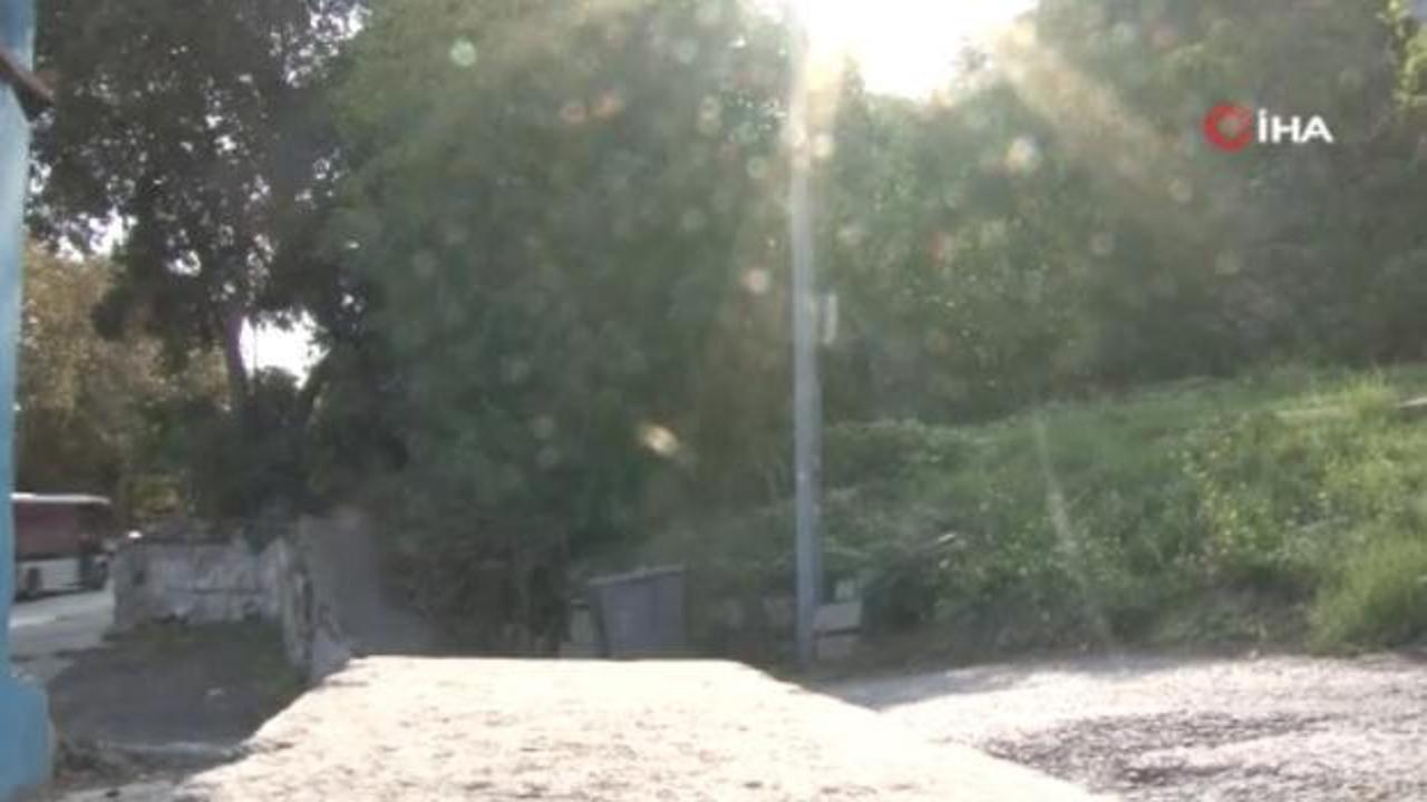 Eyüpsultan Mezarlığı'nda bomba ihbarı! 