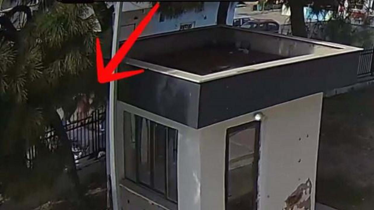 Gülben sokak ortasında öldürülmüştü! Cinayette yeni gelişme 