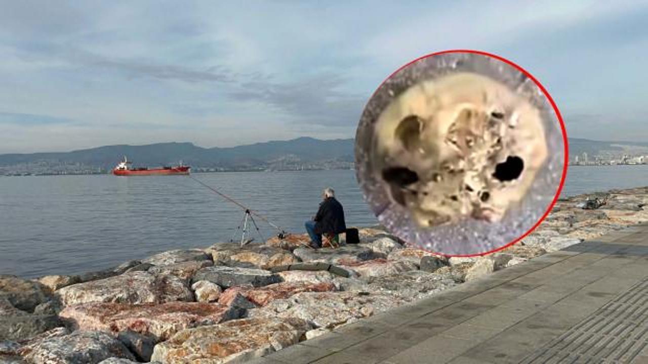 İzmir'de korkunç olay: Oltasına takıldı, hemen ekipleri aradı