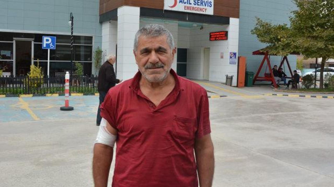 Kastamonu'da ayı saldırısı! Kaçarken yamaçtan düştü