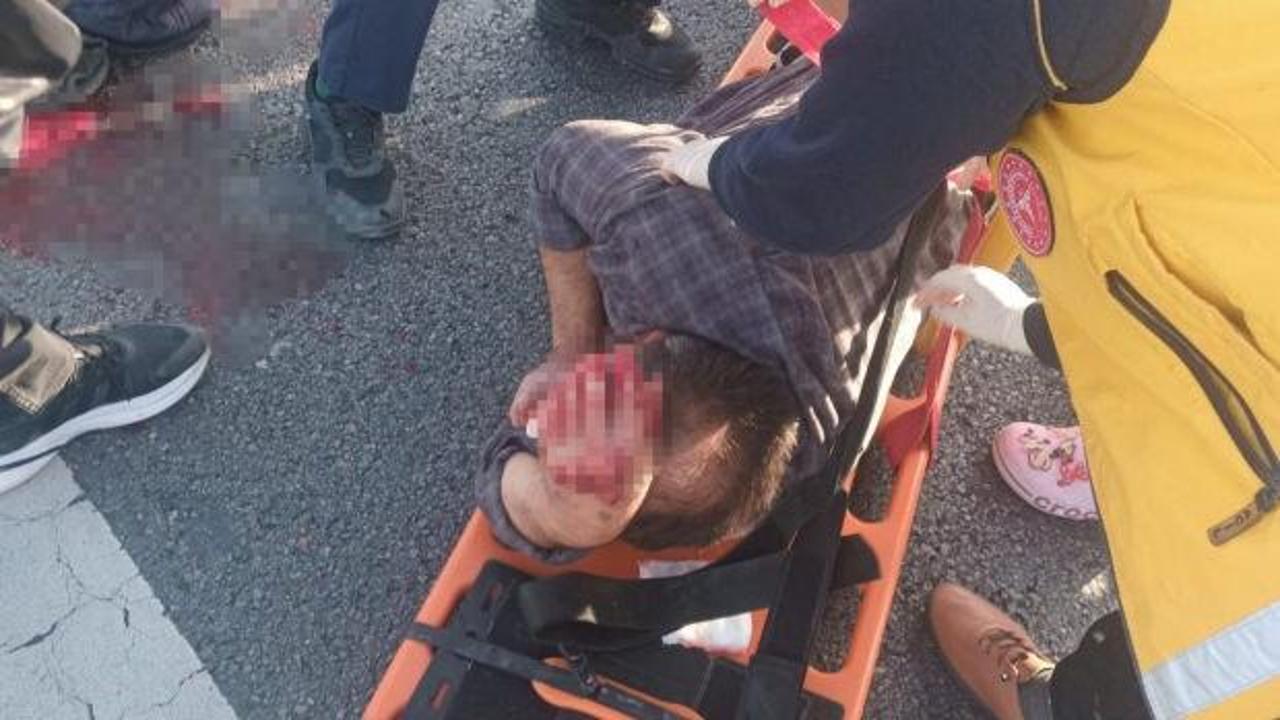 Köpeğe çarpmamak için manevra yapan sürücü kaza yaptı