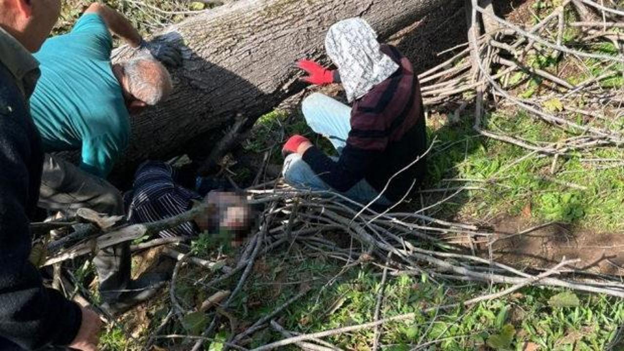 Sakarya'da korkunç kaza! Kestiği ağaç sonu oldu