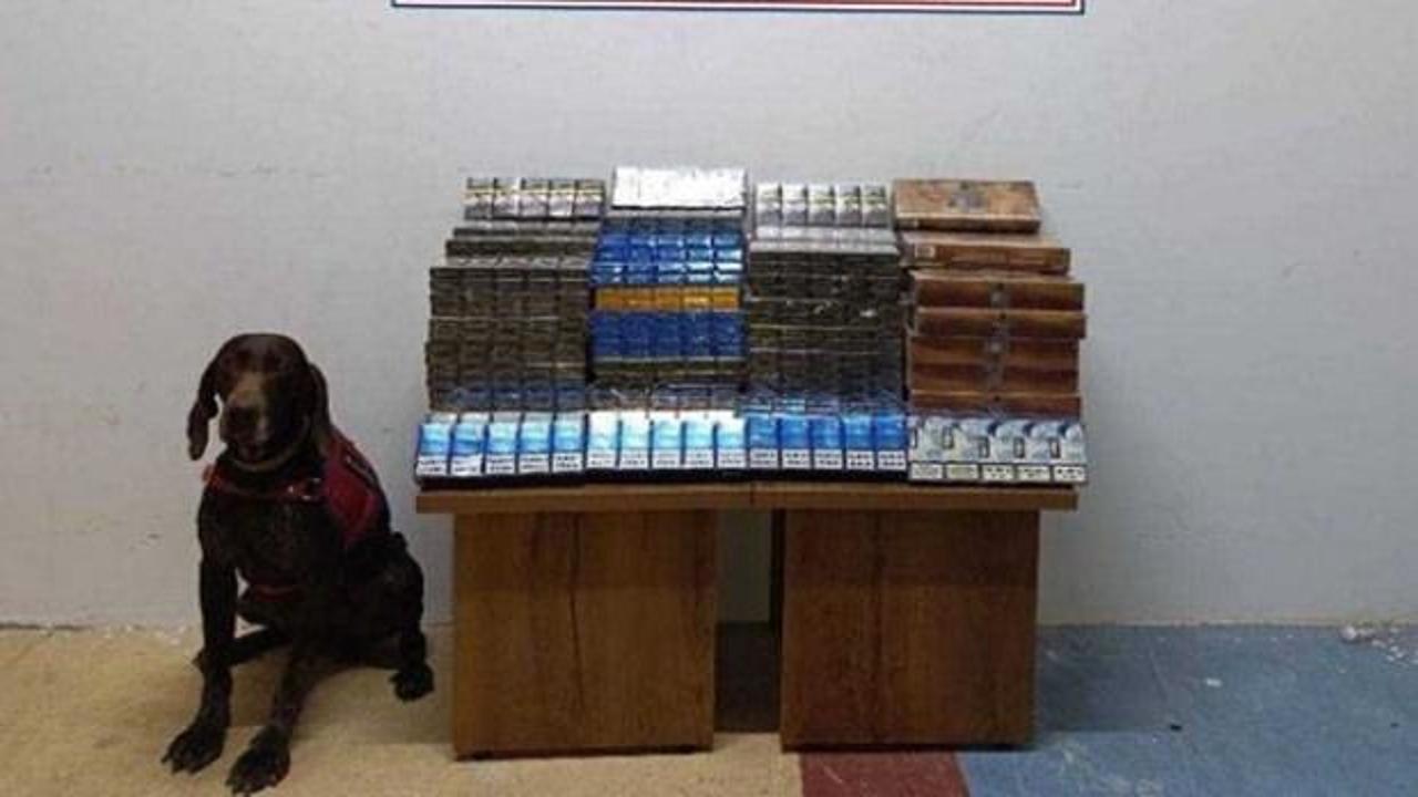 Yolcu otobüsünde bin 650 paket kaçak sigara ele geçirildi