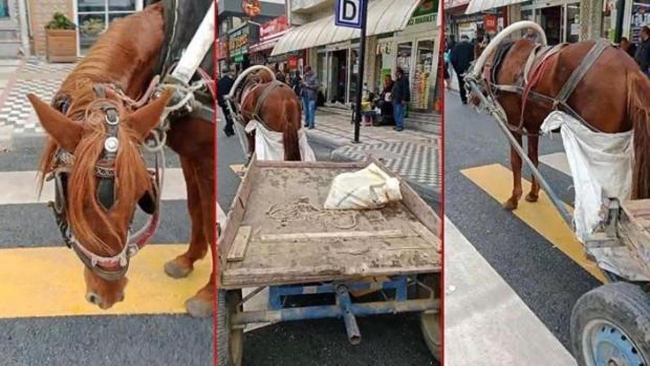 At arabasını yaya ge&ccedil;idine park eden kişiye para cezası