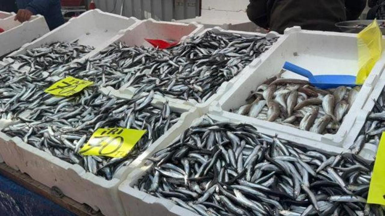 Hamsinin fiyatı 70 liraya indi