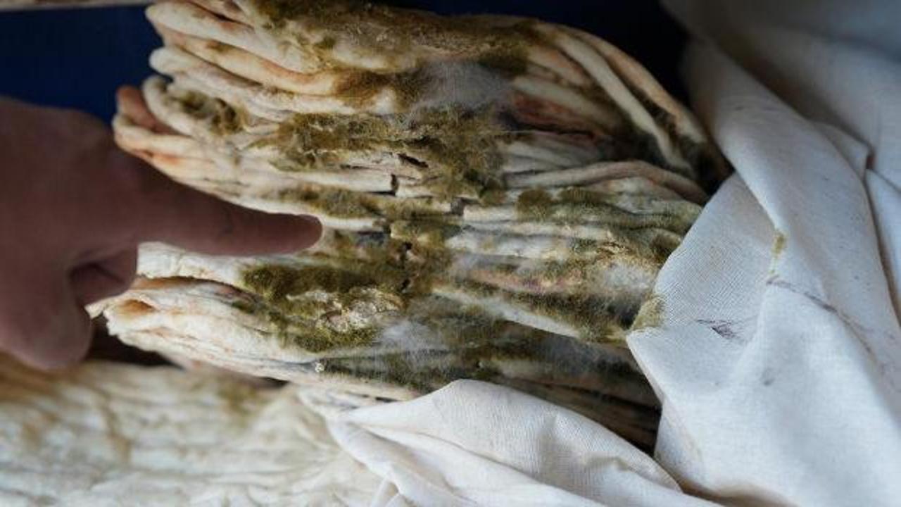 Hijyen kurallarına uymayan 2 ekmek fırını kapatıldı