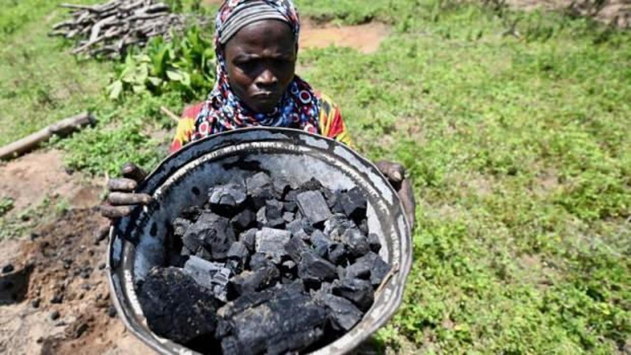 K&ouml;m&uuml;r kullanımında zirve! Tarihin en y&uuml;ksek seviyesine &ccedil;ıktı!