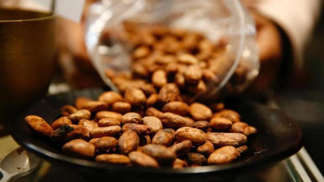 Bir fincan kakaonun şaşırtıcı faydası!