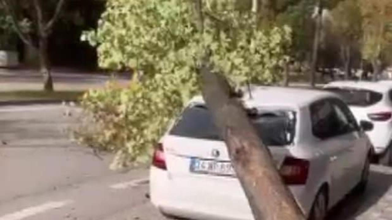 Bursa&rsquo;da lodos: Otomobilin &uuml;zerine ağa&ccedil; devrildi, o anlar kameraya yansıdı