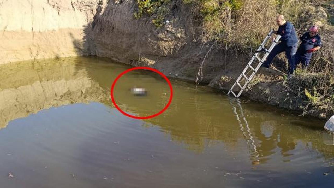 Antalya'da sır olay: Su dolu çukurdan kadın cesedi çıktı!
