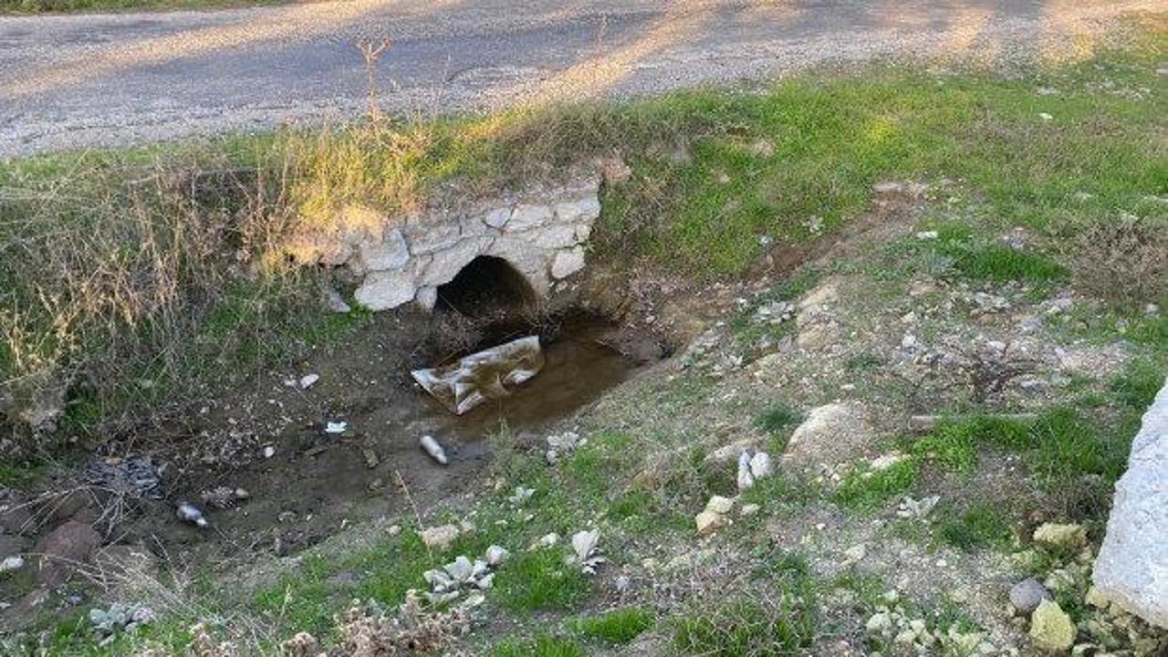 Çanakkale’de göbek bağı kurumamış bebek cesedi bulundu