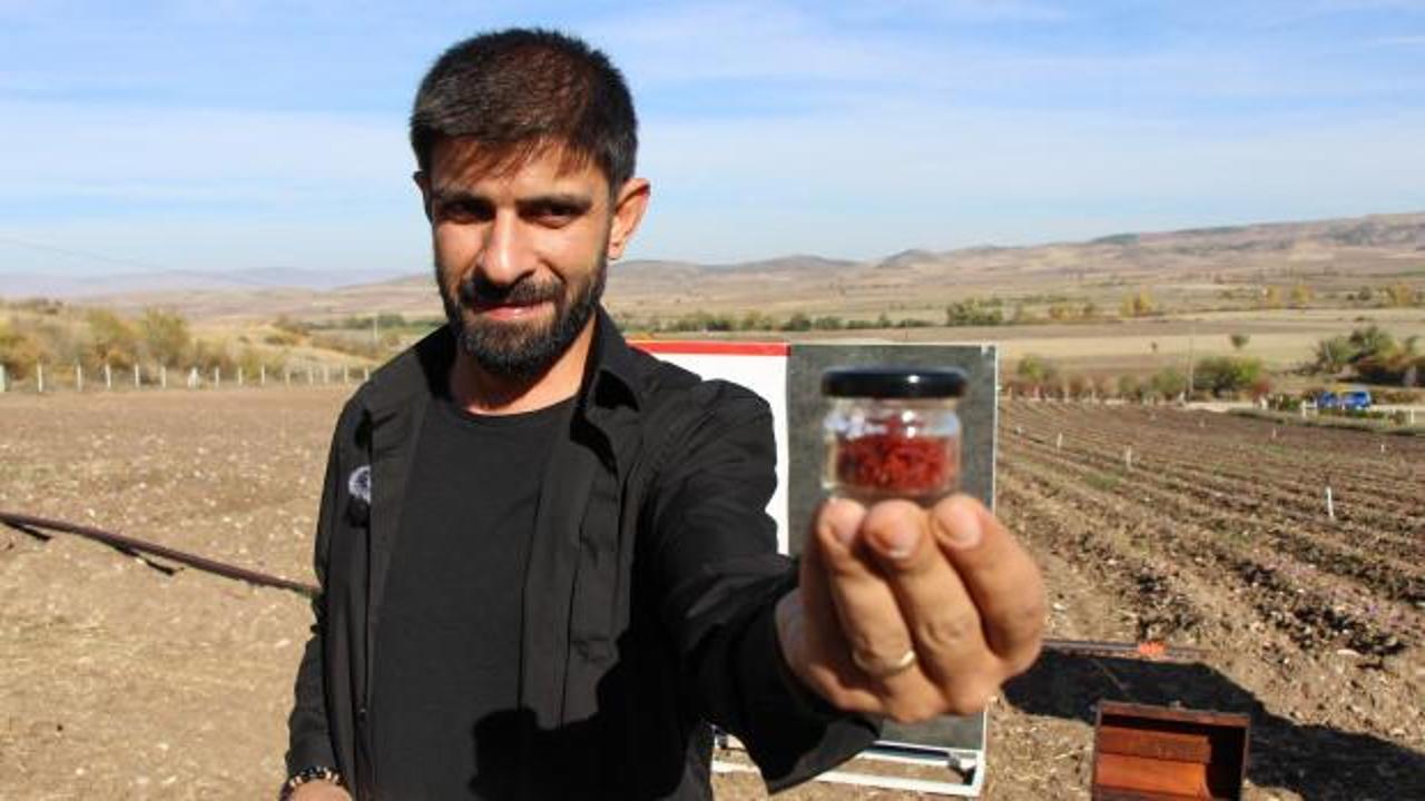  Dünyanın en pahalı baharatı! "Kırmızı altının" 1 gramı 500 TL'den satılıyor 