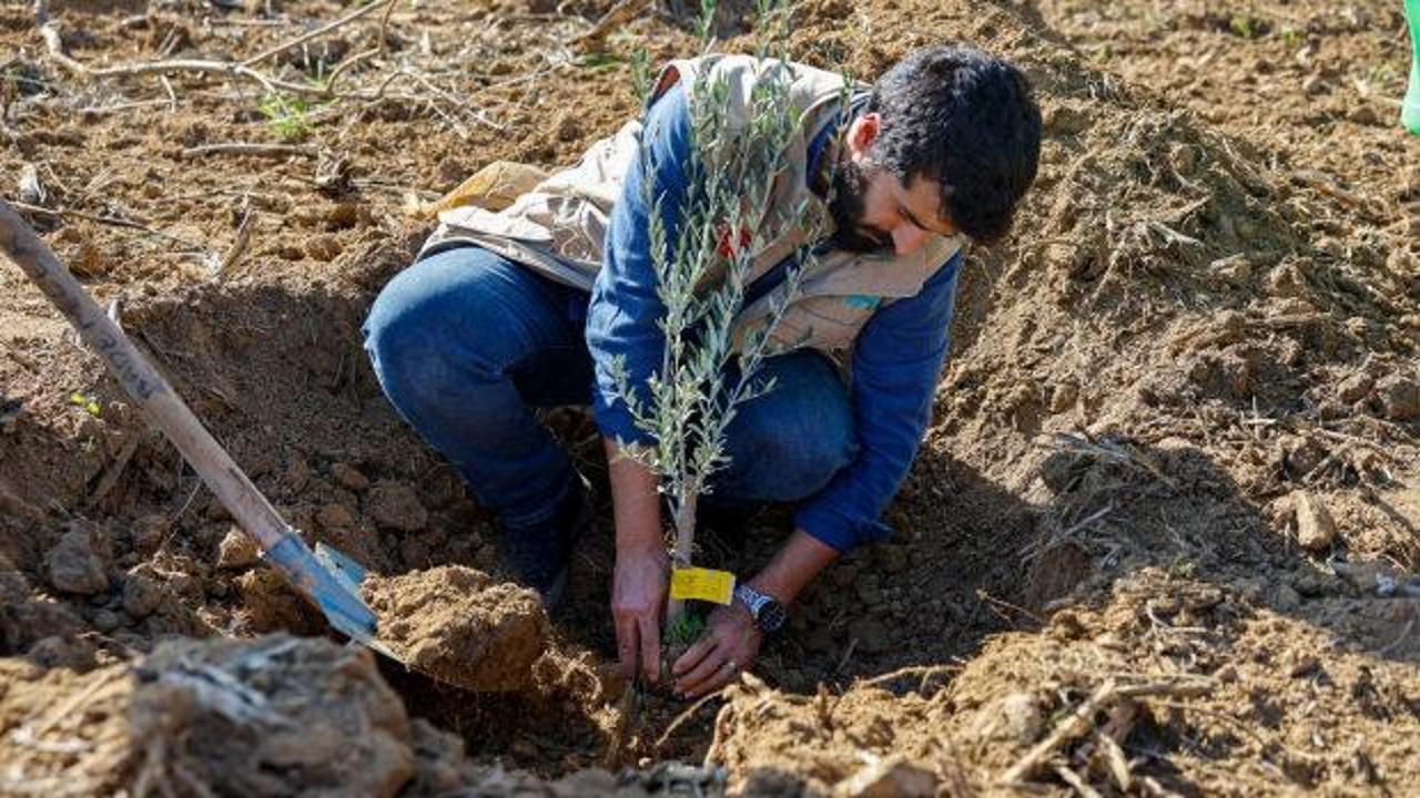 İHH’dan 3 ildeki çiftçilere 25 bin fidan desteği