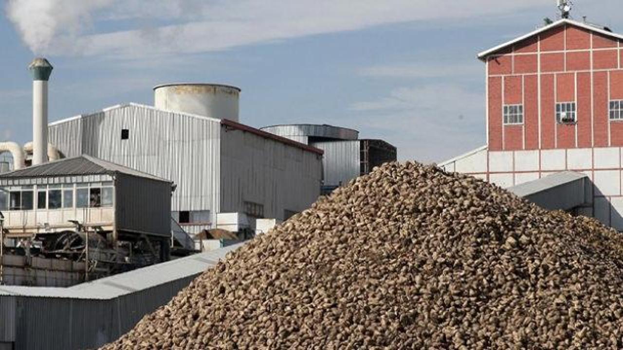 Kayseri Şeker bu sezon 475 bin ton şeker üretimi hedefliyor