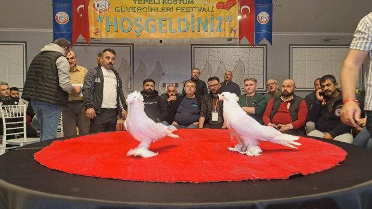 Sakarya'da "6. Tepeli Kostüm Güvercinleri Festivali" düzenlendi