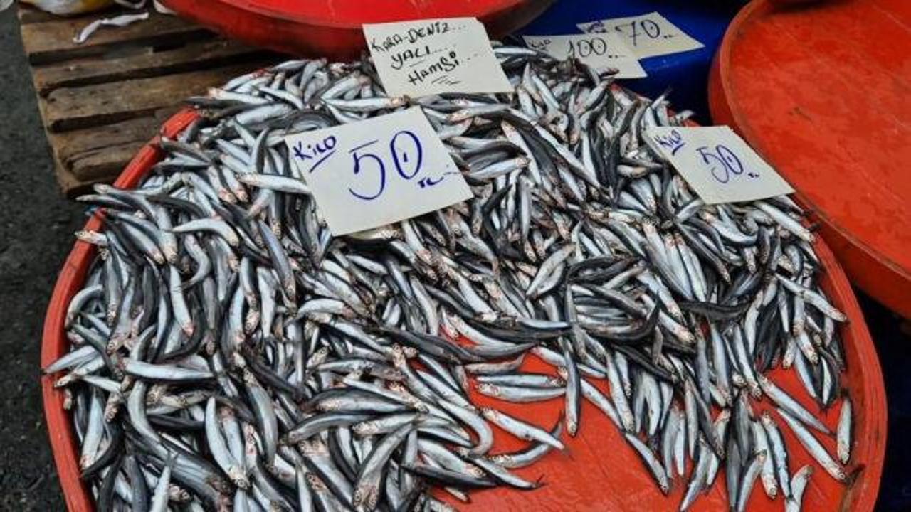 Tekirdağ'da hamsinin kilosu 50 liraya kadar d&uuml;şt&uuml;