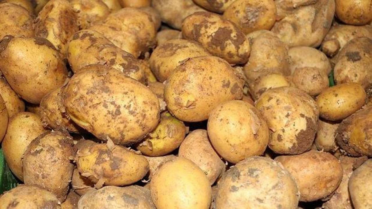 Ticaret Bakanlığından patates fiyatlarına ilişkin a&ccedil;ıklama