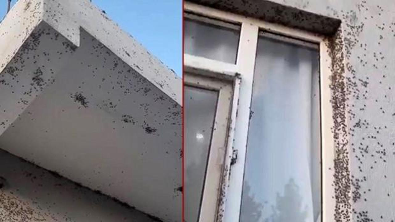 Yer: Siirt! 6 k&ouml;y&uuml; istila ettiler... Vatandaş camını bile a&ccedil;amıyor