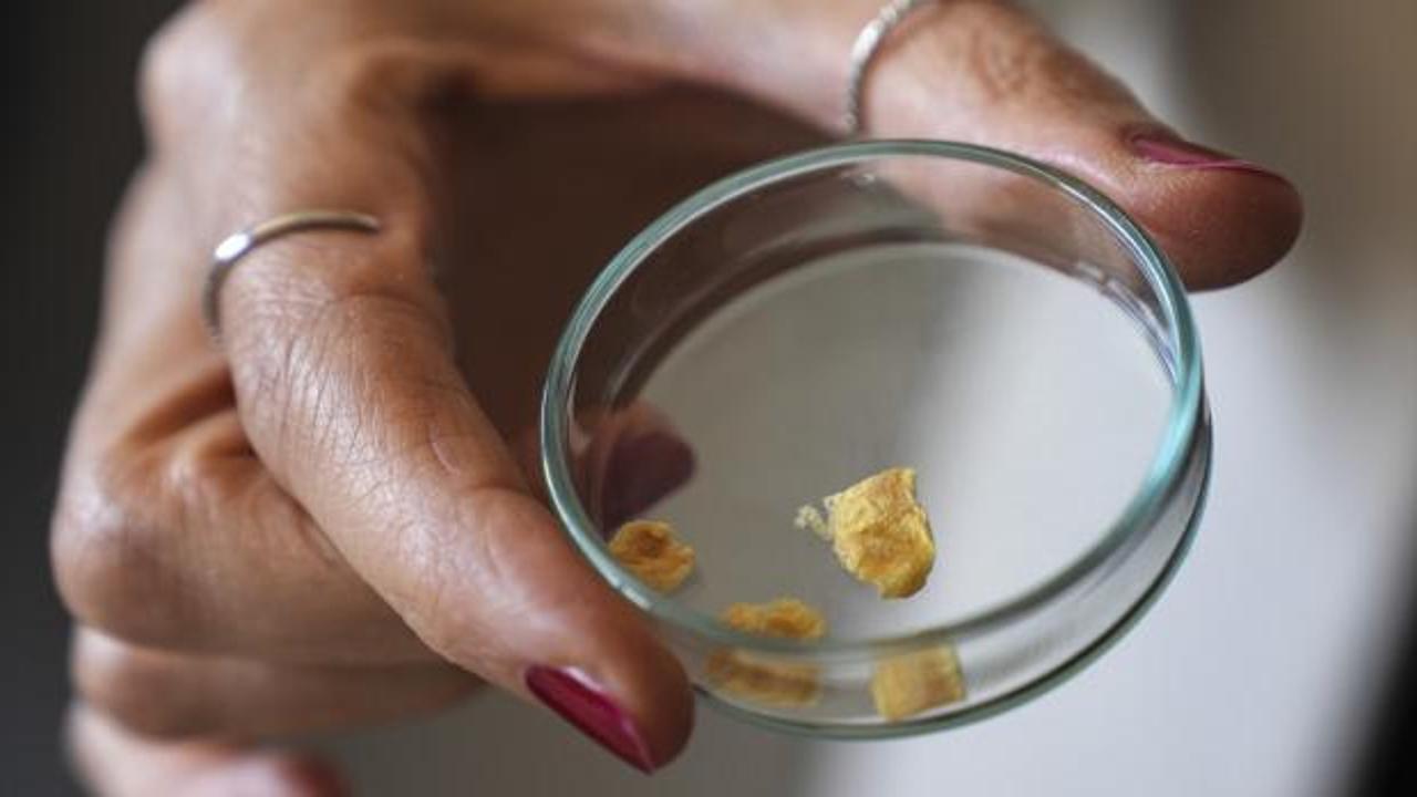 Balık kılçığı yüksek kaliteli kolajene dönüştürüldü