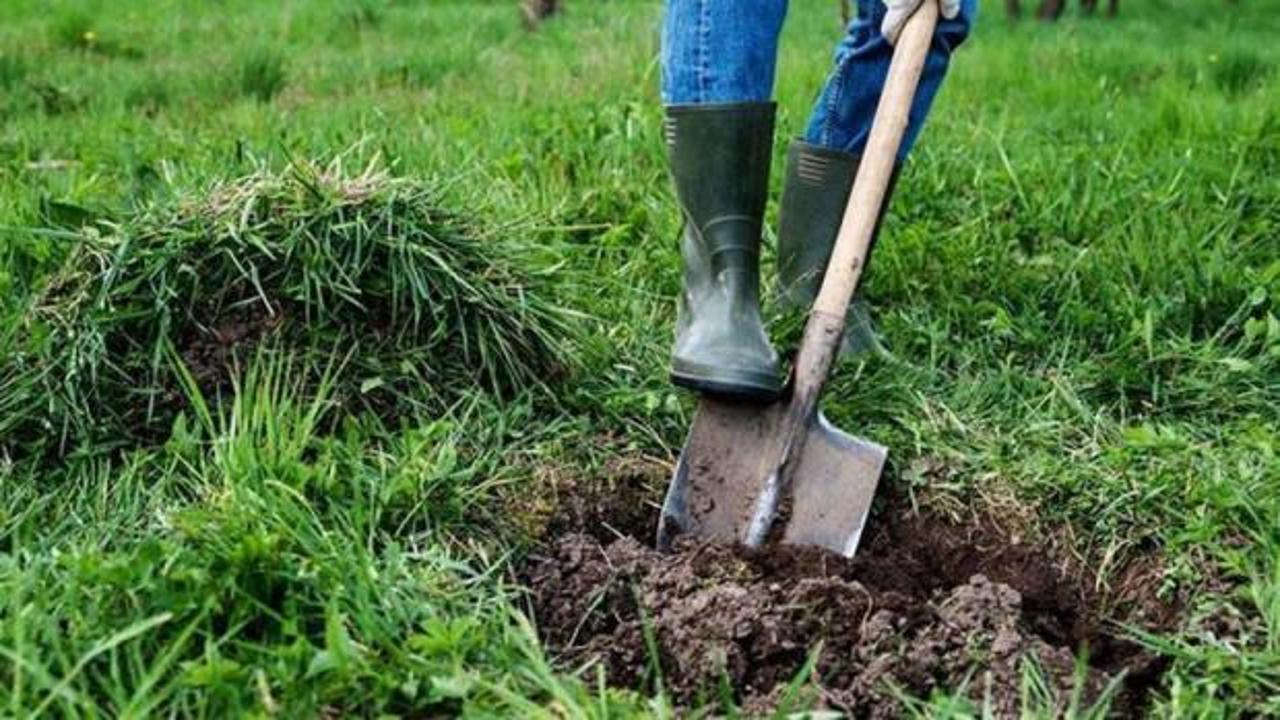Havuz kazarken hazine buldu! Dudak uçuklatan rakamın sahibi oldu!