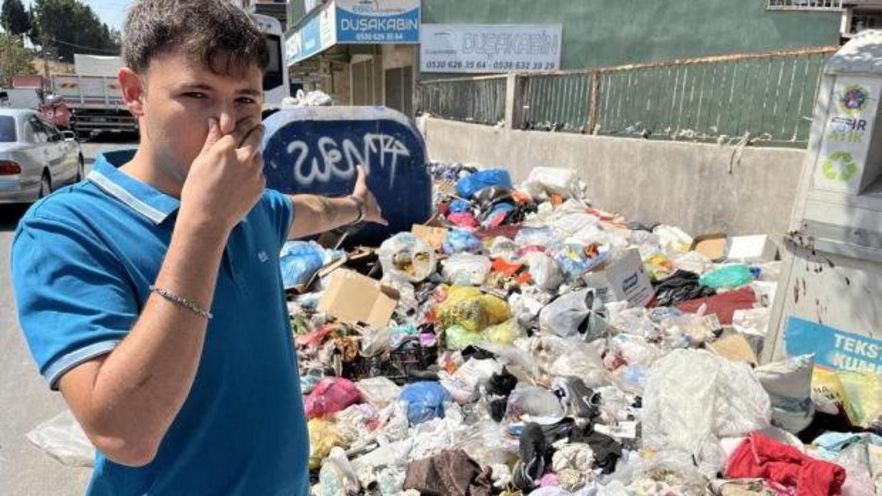 İzmir’de çöp krizi bitmeden kara sinek kabusu başladı!