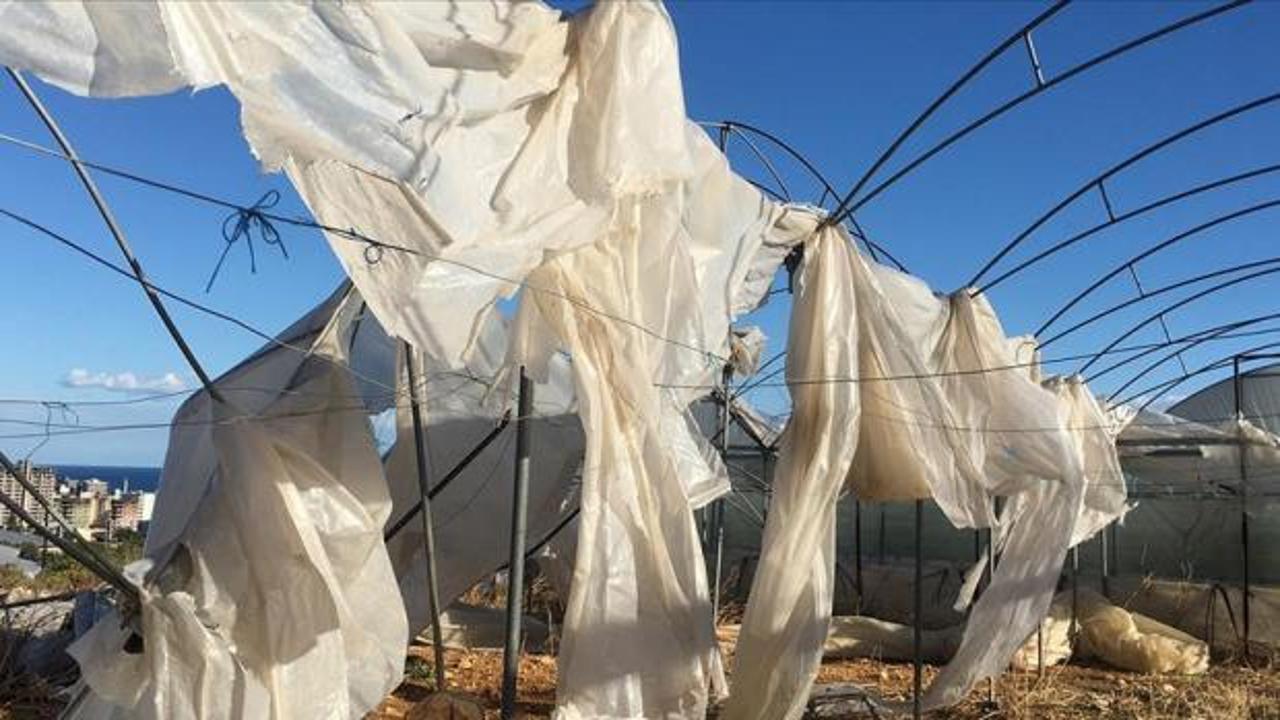 Tarım sigortaları kapsamında ekimde üreticilere 11,6 milyar lira hasar tazminatı ödendi