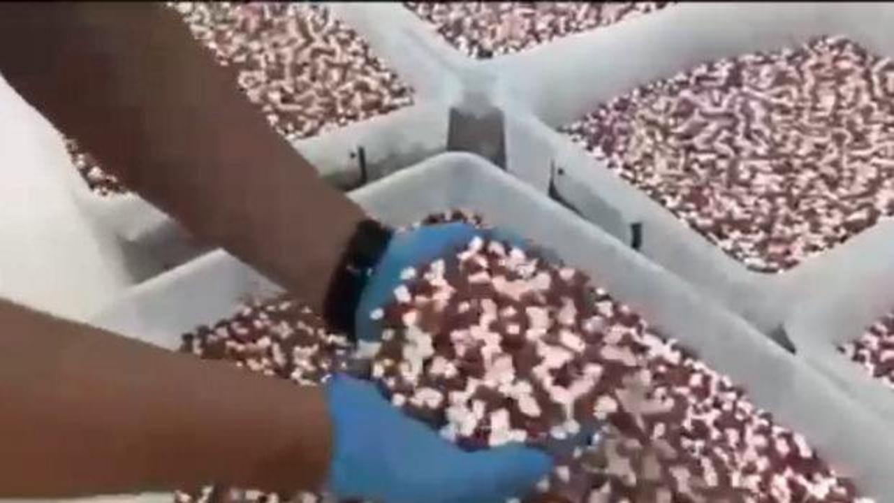 Uyuşturucu imalathanesine operasyonda 1,8 milyon sentetik ecza hap ele ge&ccedil;irildi