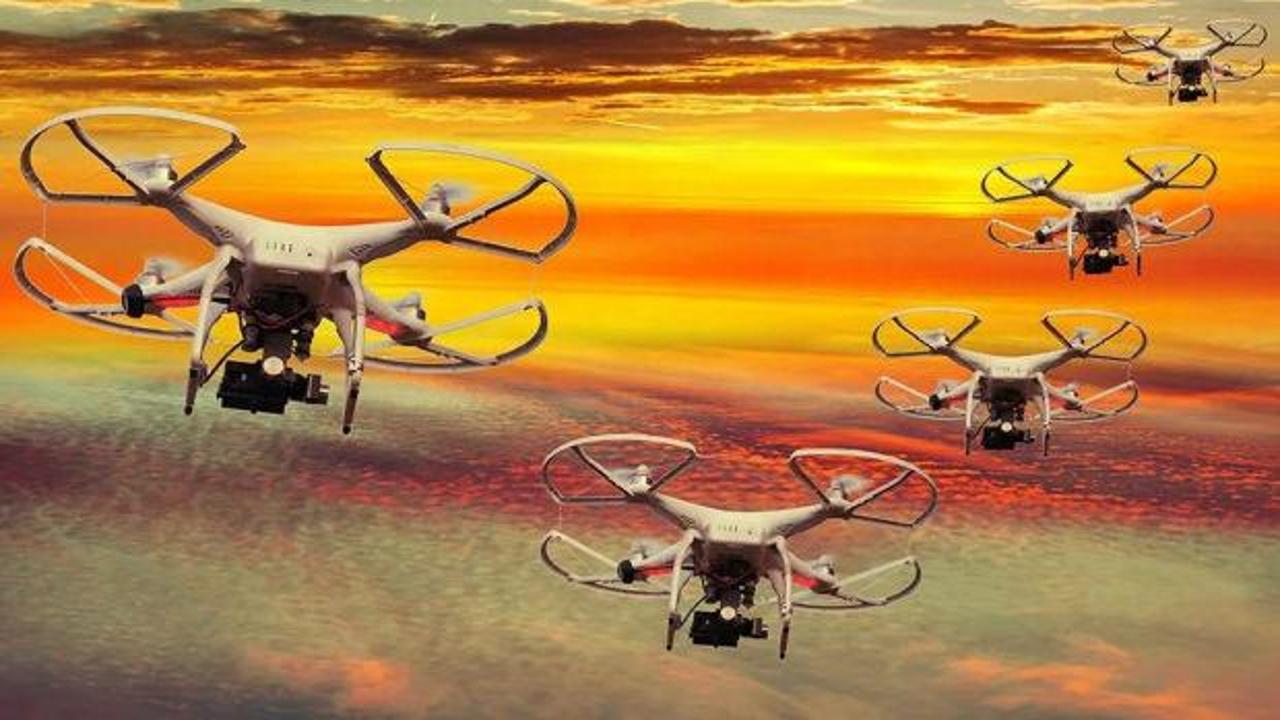 Almanya'nın İHA avcıları göreve hazır