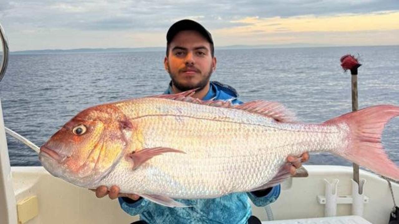 Çanakkale'de balıkçıların ağına 12 kilogramlık mercan takıldı