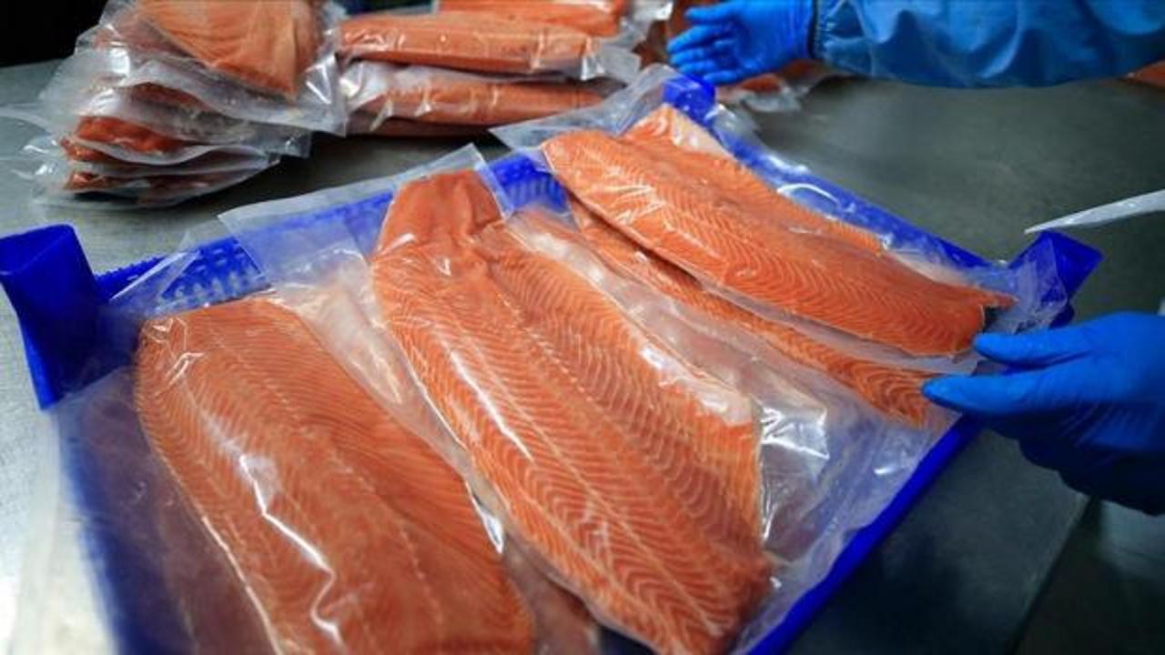 Doğu Karadeniz'in 10 aylık T&uuml;rk somonu ihracatı 152 milyon doları aştı
